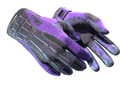 Sport Gloves | Pandora's Box